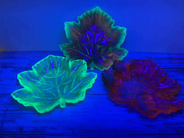 Glow-In-The-Dark Leaves under Blacklight